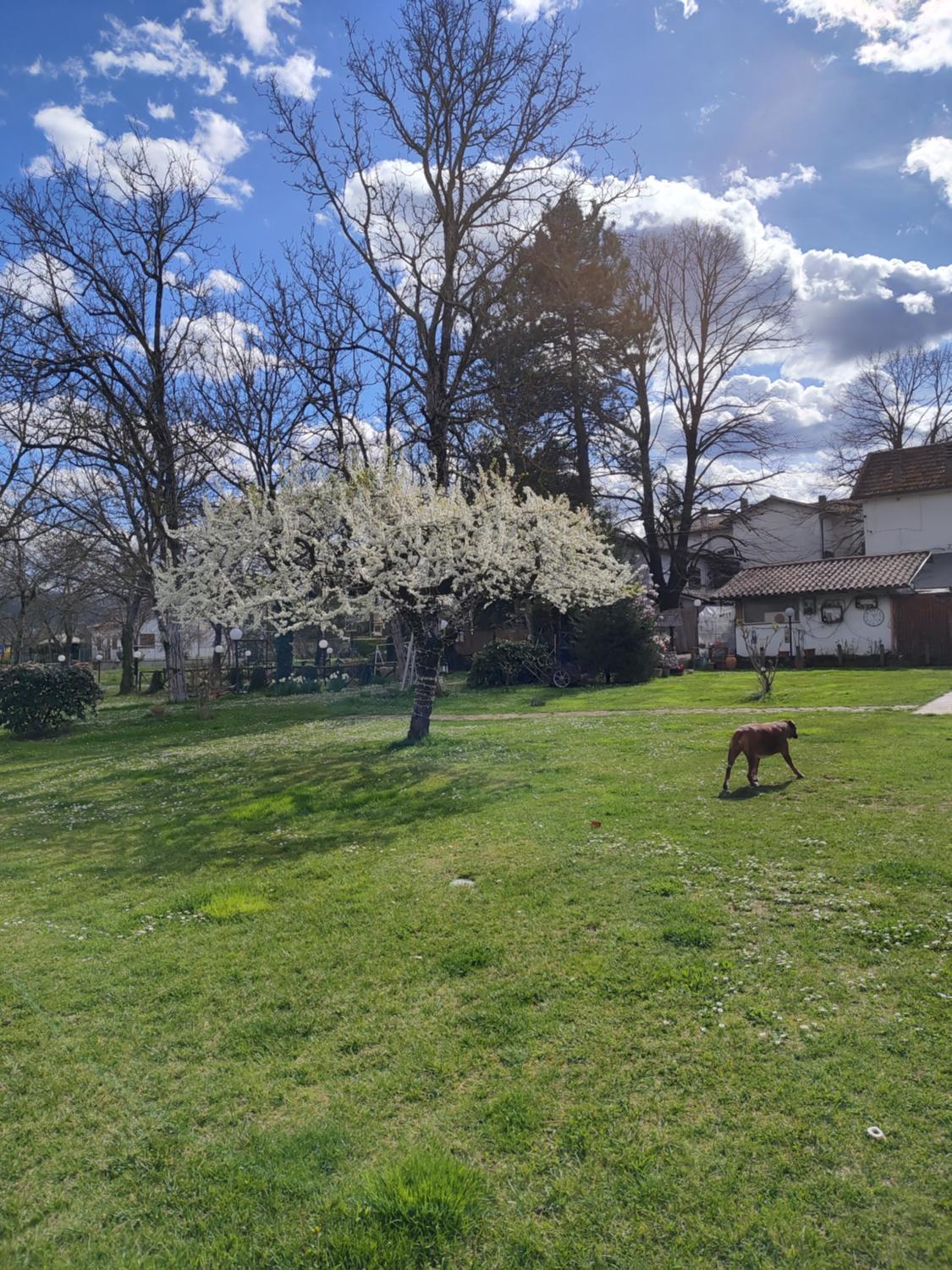 2, Guest House La Palazzina, Rieti
