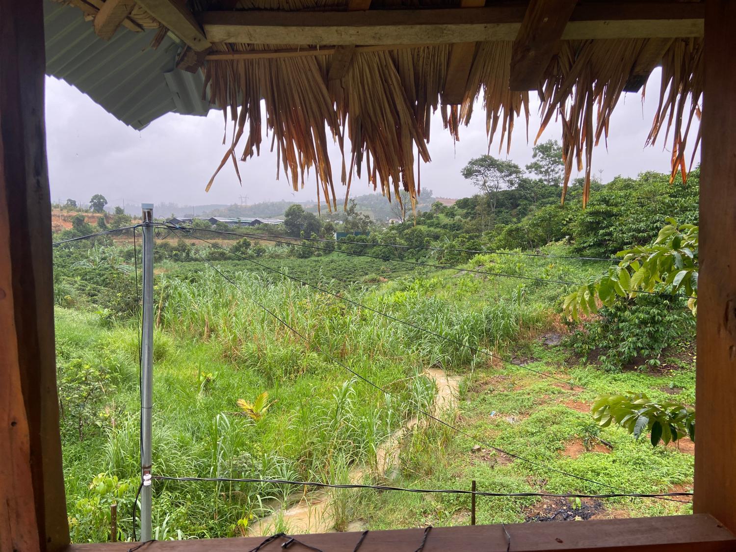 2, Gao hat de homestay, Bảo Lộc