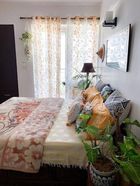 5, green yello hotel, Rawalpindi