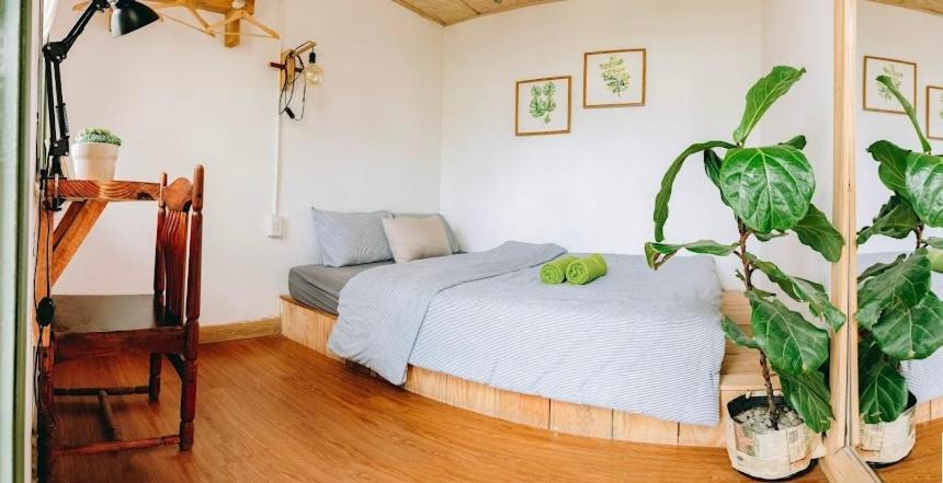 Others 4, Thuong House, Đà Lạt