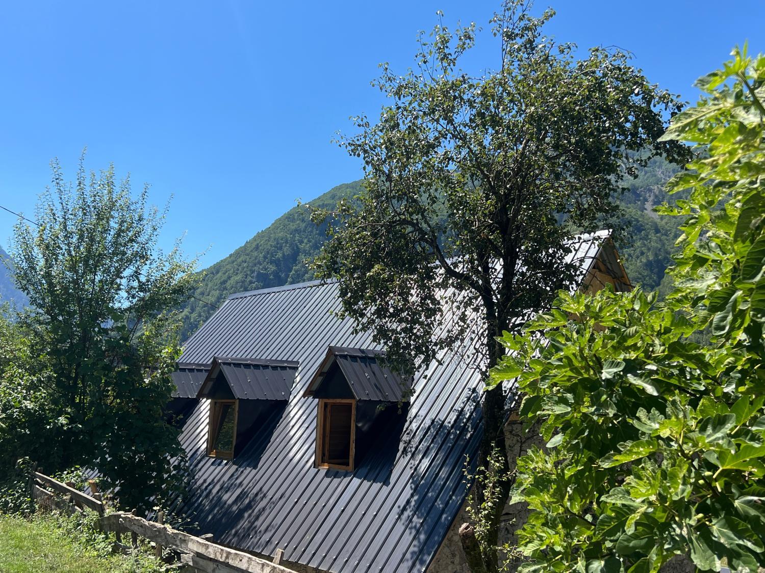 5, Te Oli, Shkodrës