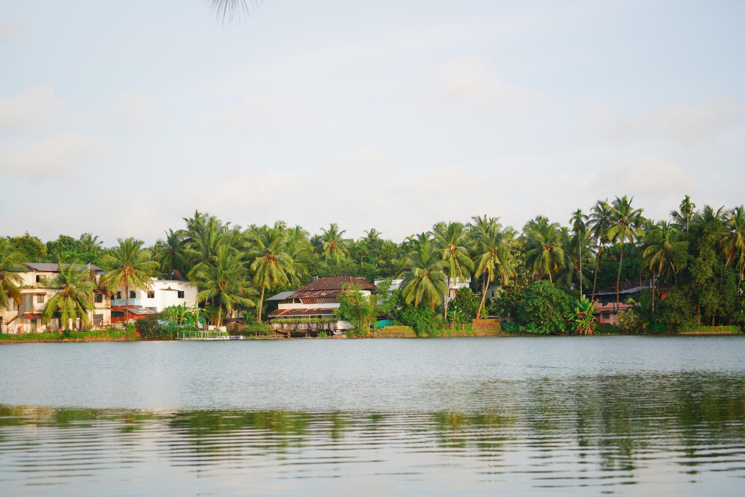 4, Jaladhija - Lakeview Homestay, Kozhikode