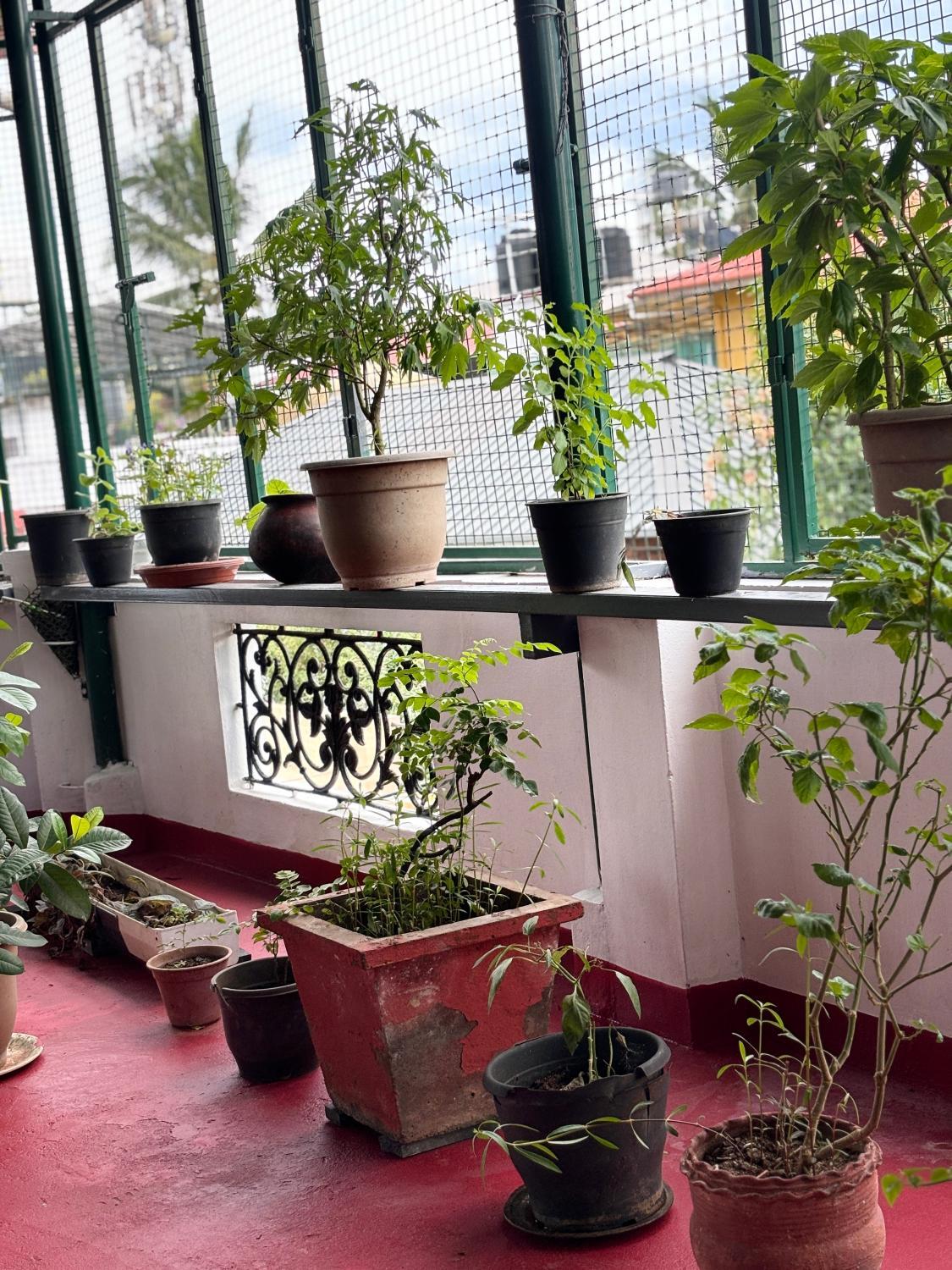 2, Beza Homestay, Ernakulam