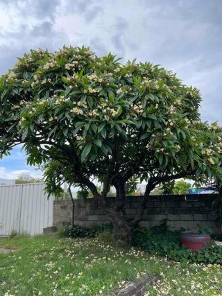 4, Mascot Guesthouse 5 mins to Airports 17 mins to CBD, Botany Bay