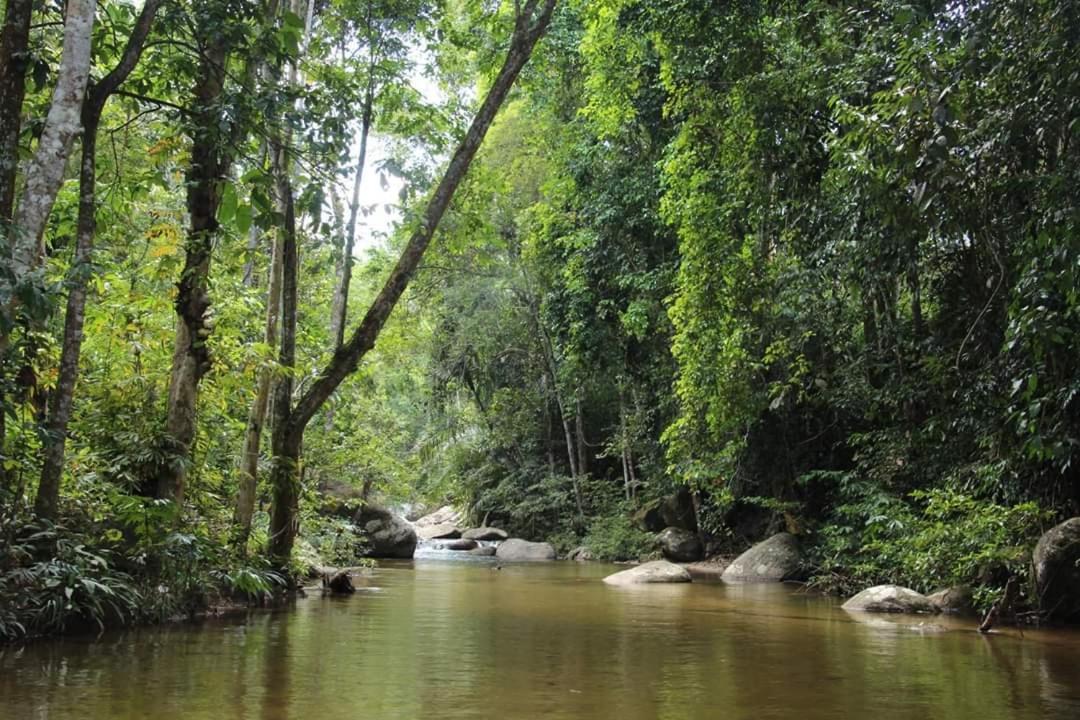 Others 5, Rock Forest Chalet, Bentong