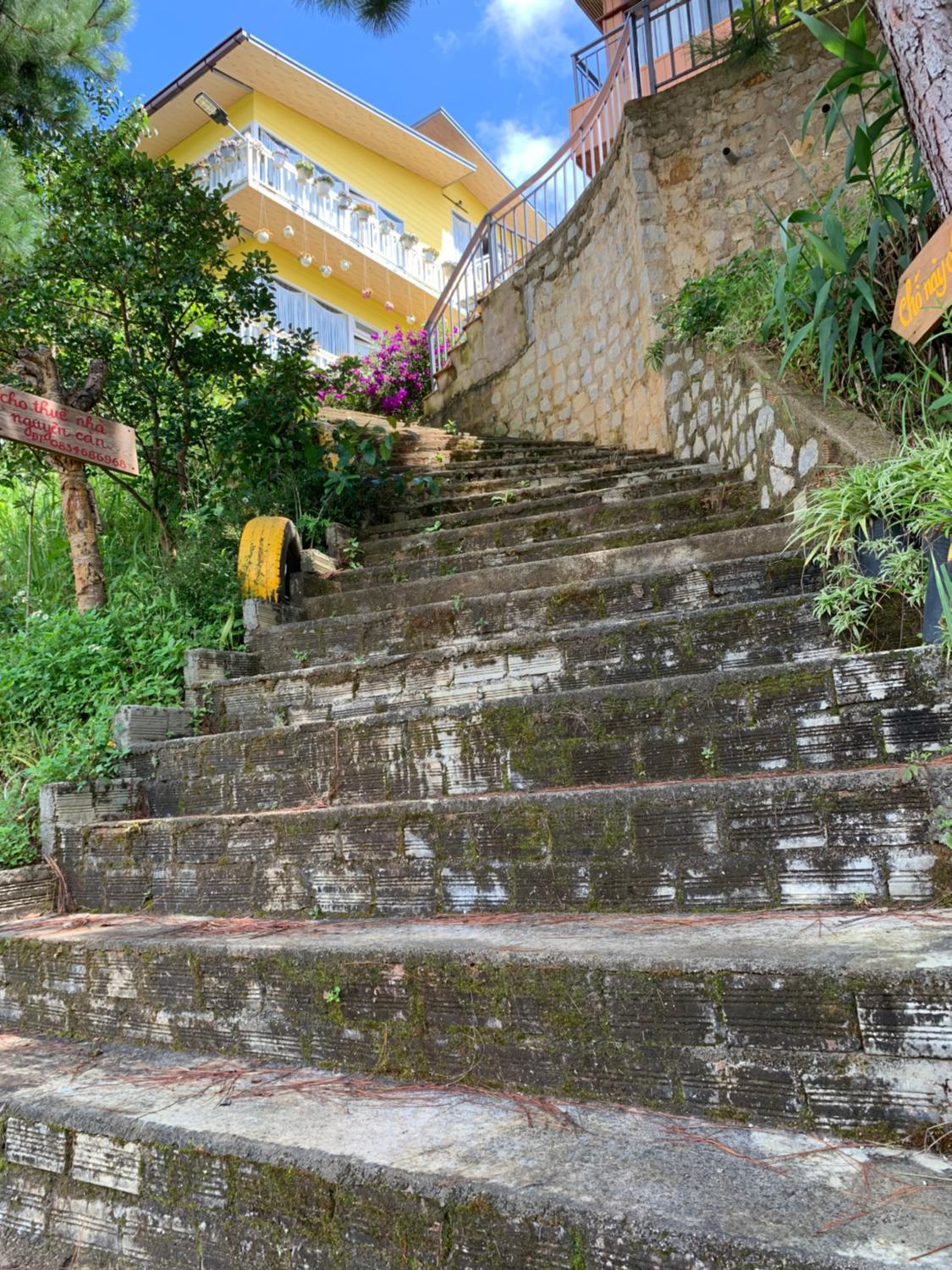 Others 2, Nha ben rung, Lạc Dương