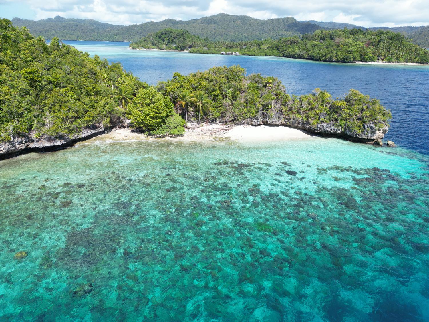 5, Friwen Mangrove Eco Lodge, Raja Ampat