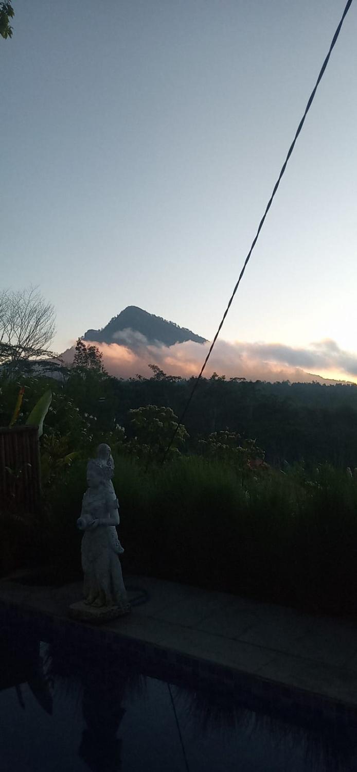 4, The Bunut Villas, Bangli