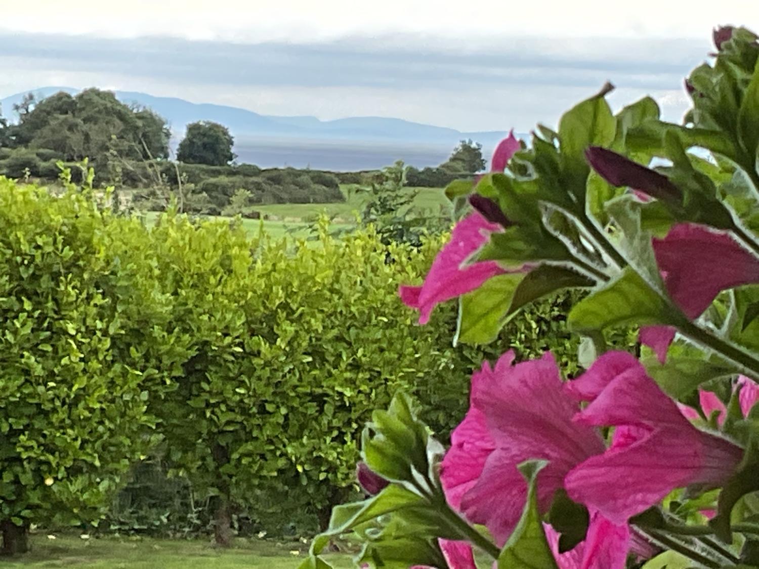 Others, Hazeltree Lodge