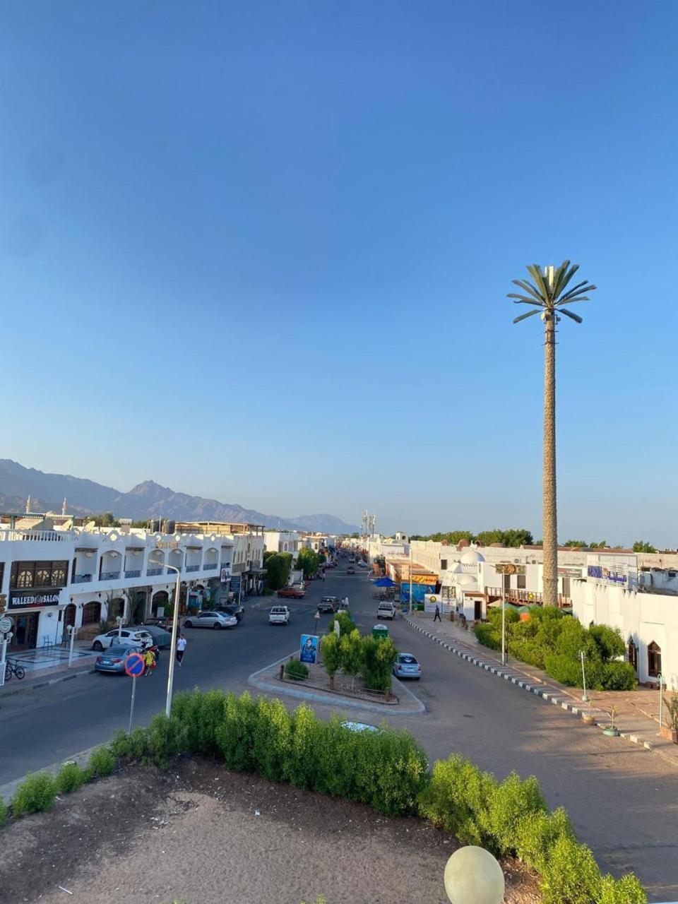 View, Pensione Dahab, Sant Katrin