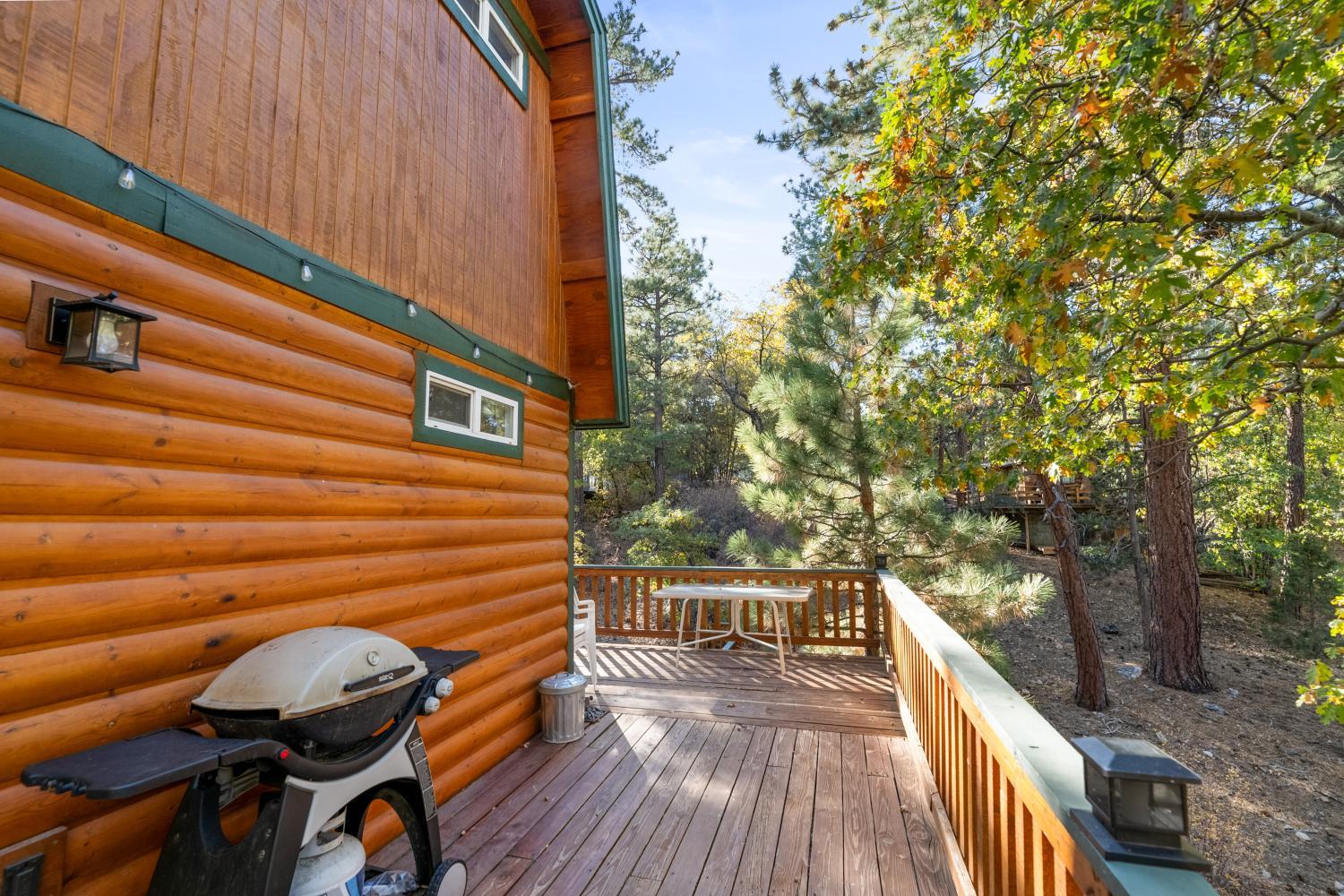 Exterior view 2, Magic Mountain - Three bedroom log cabin located in a quiet neighborhood!, San Bernardino