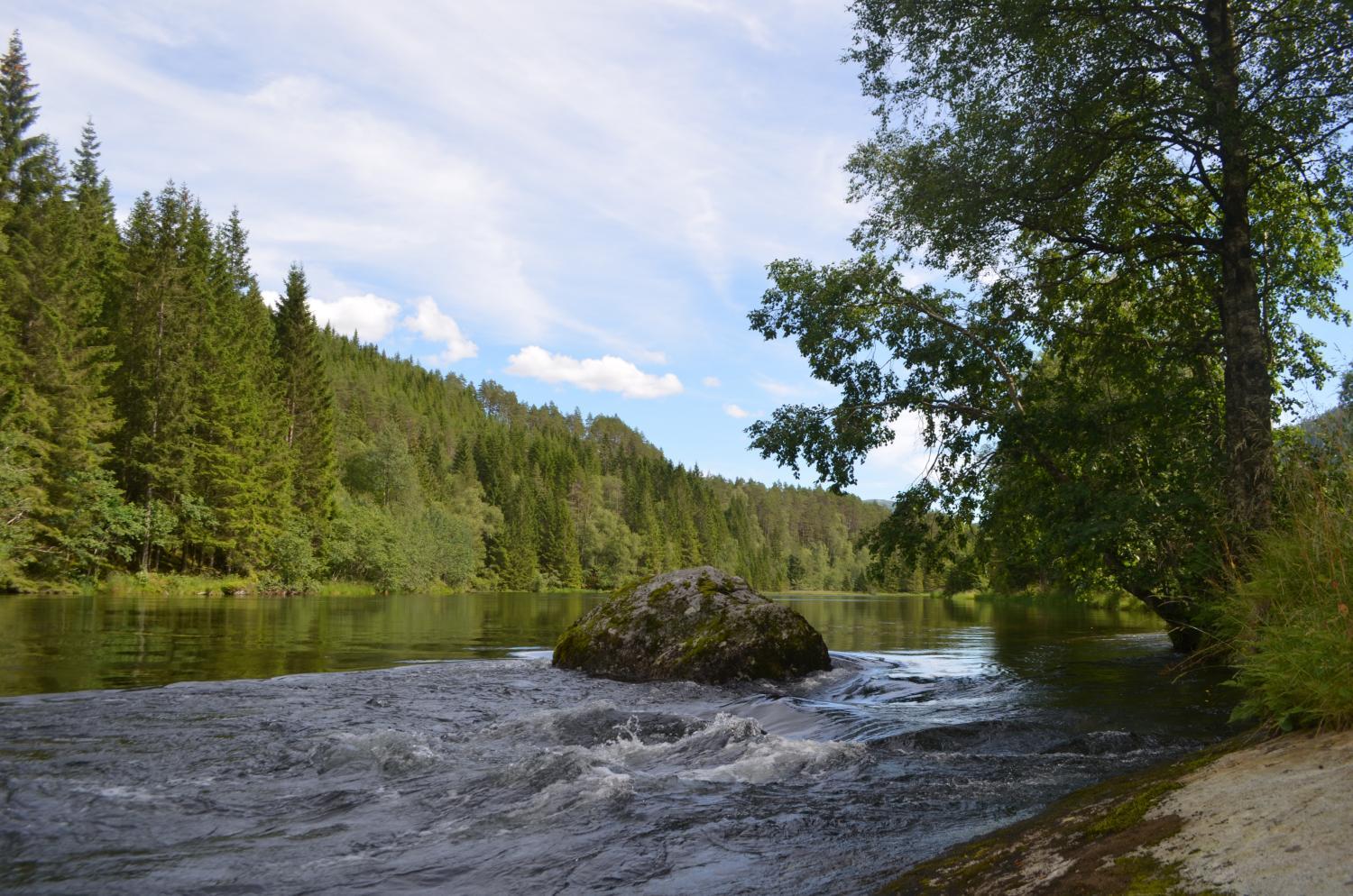 View 2, Døskelandslia Camping, Gaular