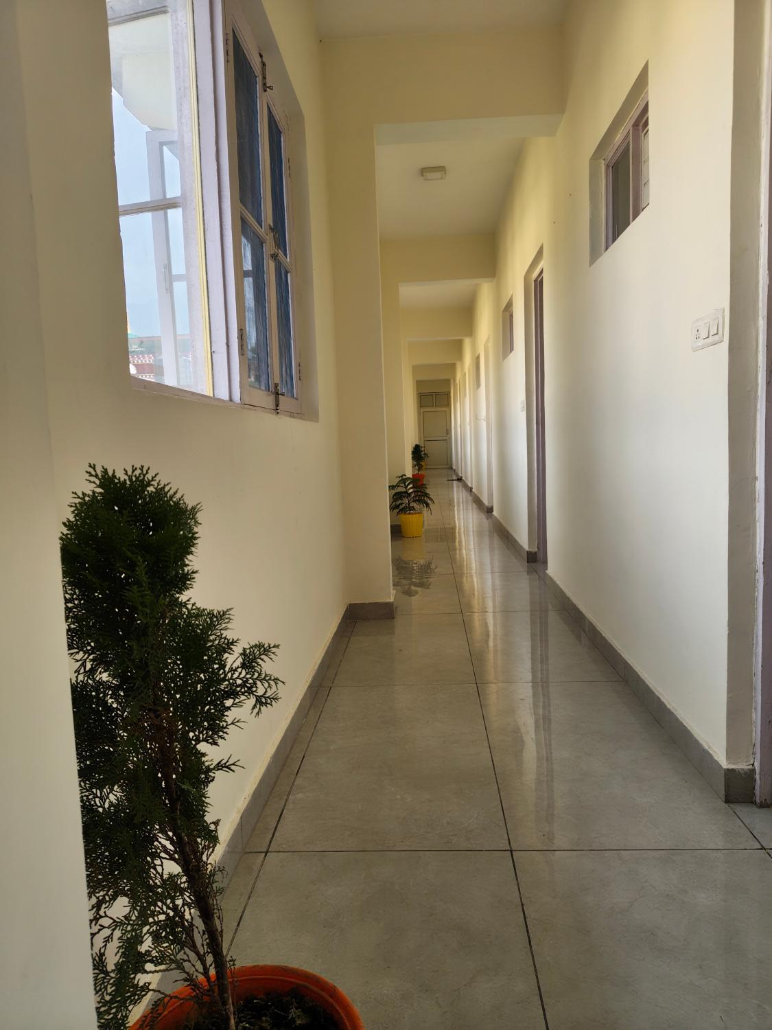 4, Gliders Inn- Curated by Sukhdev, Kangra