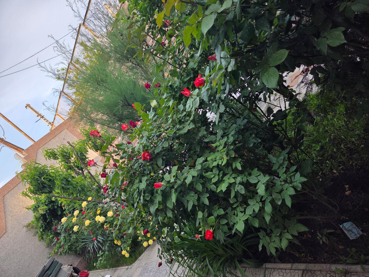 Others 2, Guesthouse Aygestan, Yerevan
