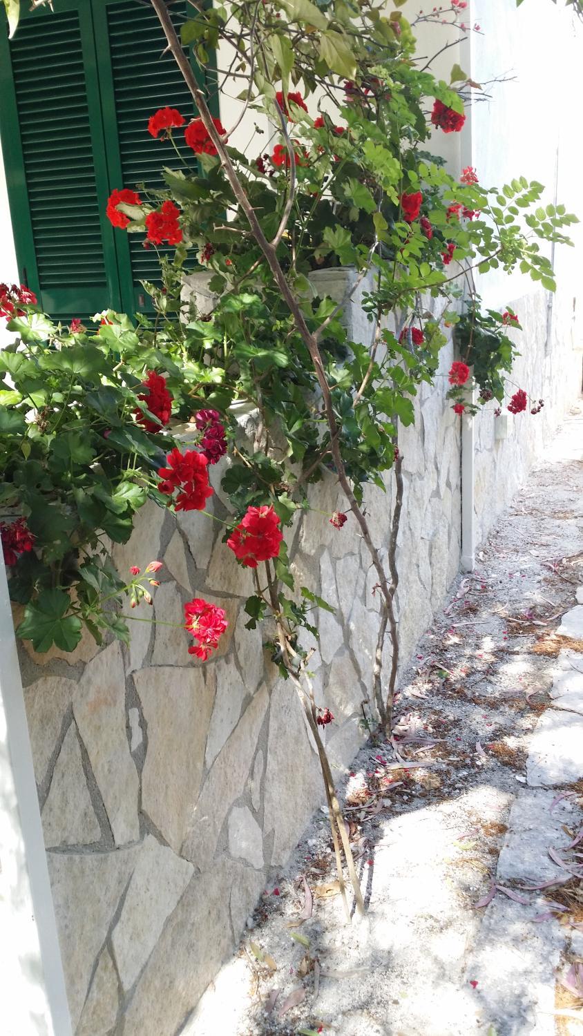 Exterior view, Residence Polidoro, Foggia