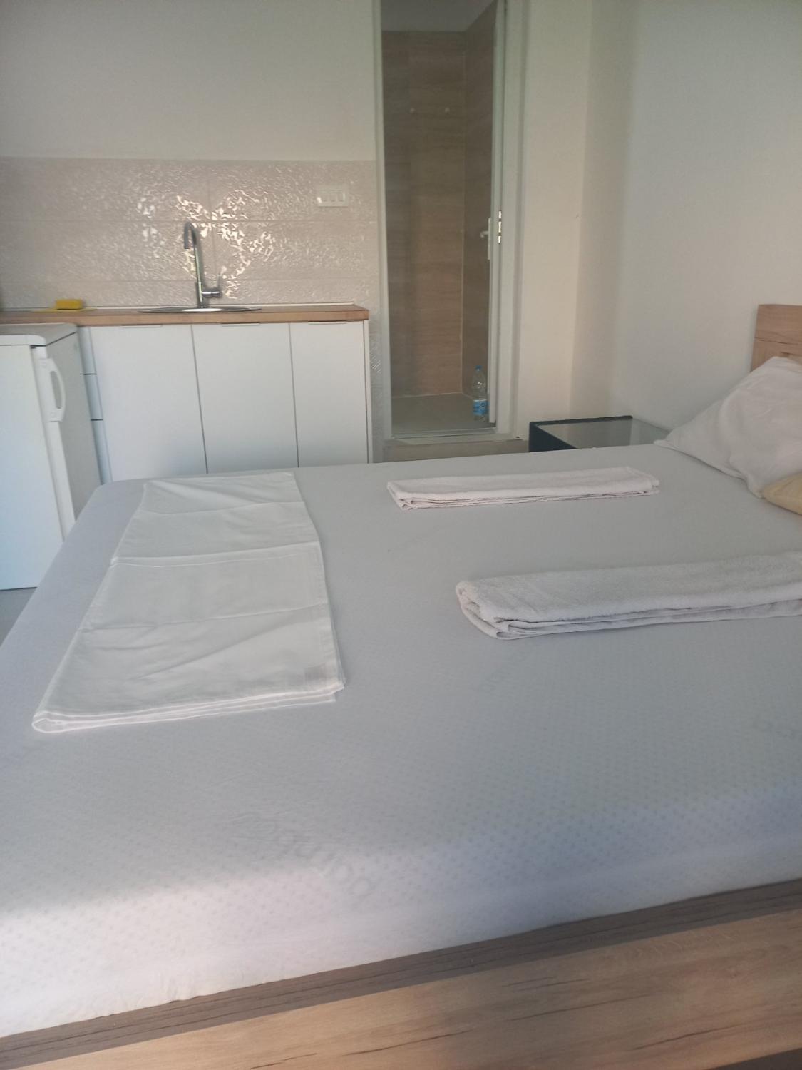 Others 3, Hostel Dragana