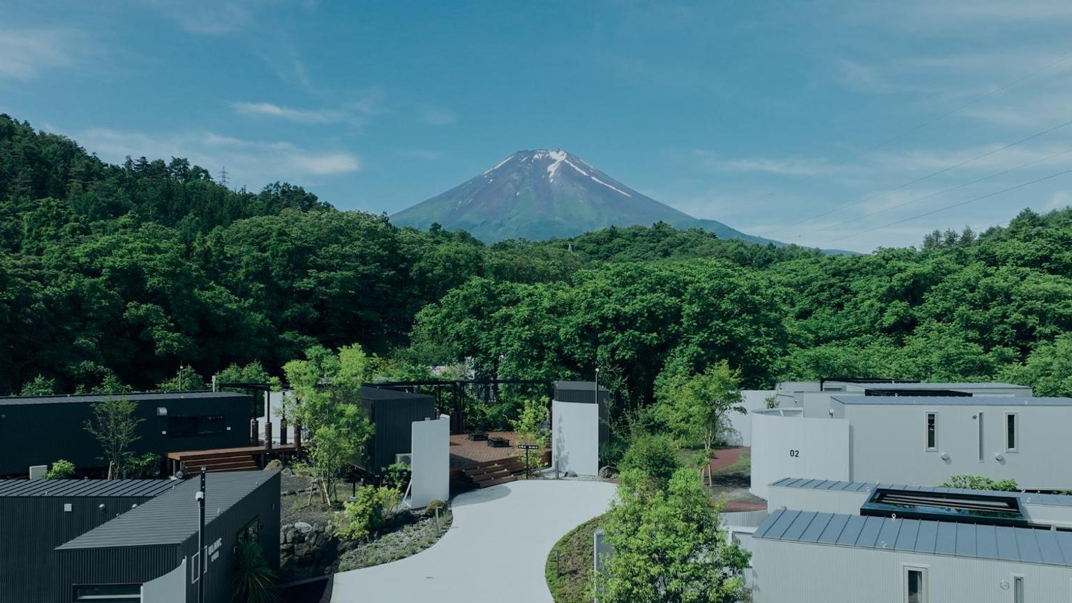 BLANC FUJI