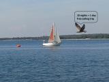 Bild des Orts