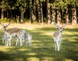 Afbeelding van de locatie