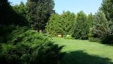 Bild des Orts