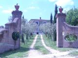 Immagine del luogo