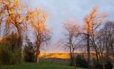 Afbeelding van de locatie