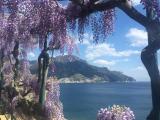 Immagine del luogo