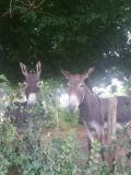 Bild des Orts