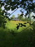 Location picture