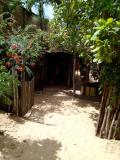 Location picture
