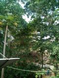 Location picture