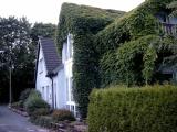 Bild des Orts