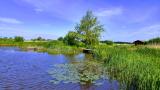 Afbeelding van de locatie
