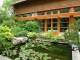 Afbeelding van de locatie