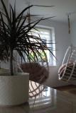 Bild des Orts