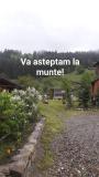 Immagine del luogo