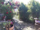 Bild des Orts