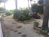 Location picture