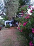 Imagen del lugar