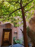 Afbeelding van de locatie