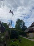 Bild des Orts
