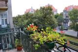Bild des Orts