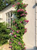 Afbeelding van de locatie