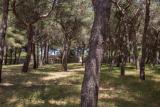 Location picture