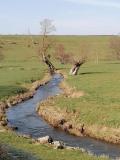 Bild des Orts