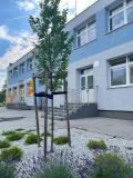 Afbeelding van de locatie