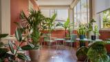 Afbeelding van de locatie