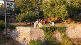 Location picture