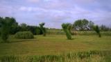Bild des Orts