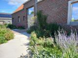 Kaart MICHELIN Dentergem - ViaMichelin